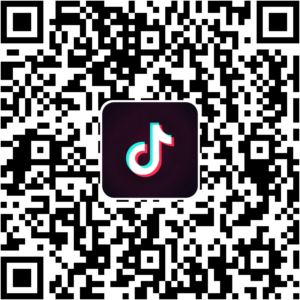 抖音小程序